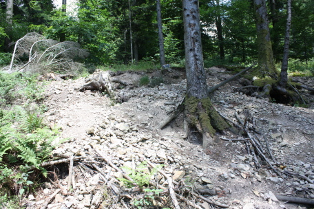 Raubgräberei auf Mineralien im Münstertal