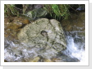 Erzmühlsteinfragment im Bach Erzmühlsteinfragment im Bach